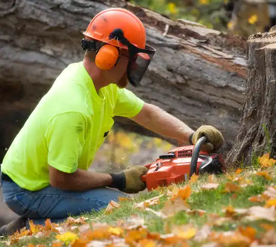 tree services Battle Creek